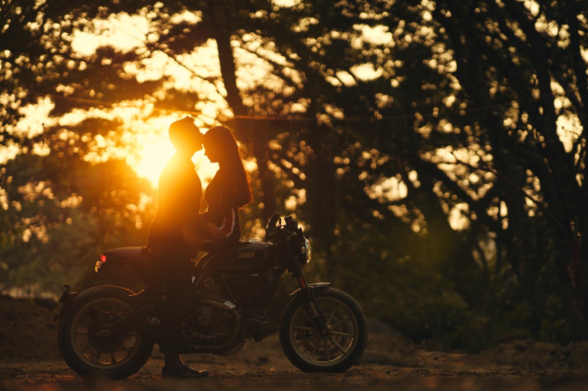 Pre-wedding couple shoot by WeddingClickz — last light through the canopy