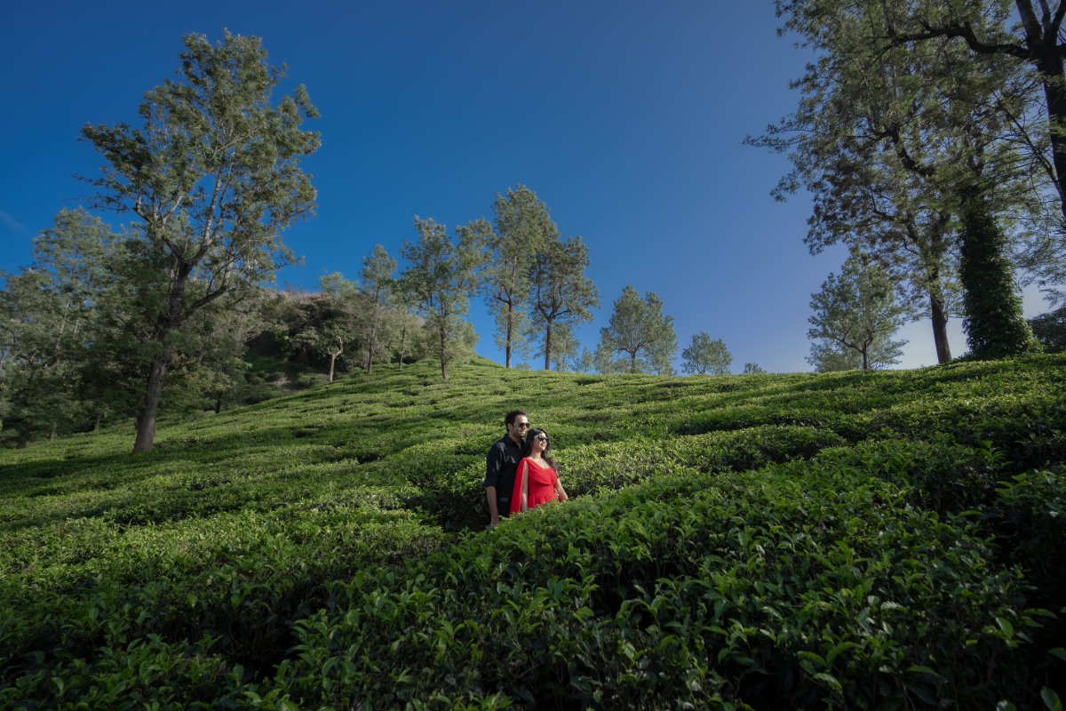 Pre-wedding couple shoot by WeddingClickz — estate country, an easy drive from the city
